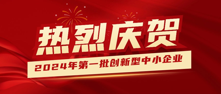 喜報！集團獲認定為2024年第一批創新型中小企業 